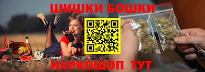 индика Лесосибирск