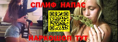 индика Лесосибирск