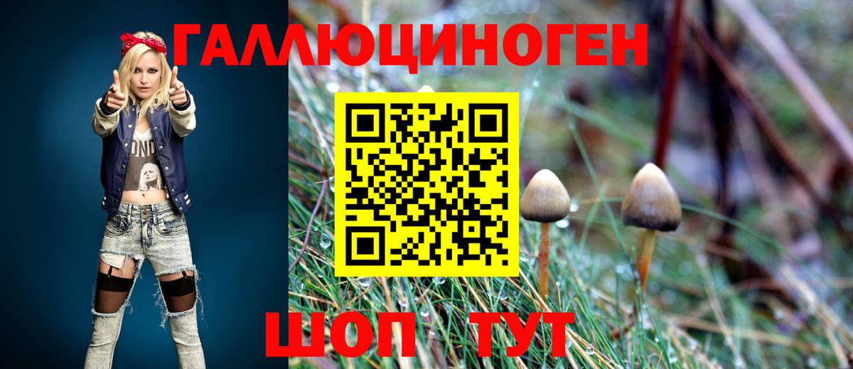 Псилоцибиновые грибы GOLDEN TEACHER  Вход с VPN  Чехов 
