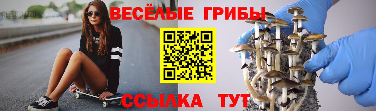 Псилоцибиновые грибы мицелий Чехов